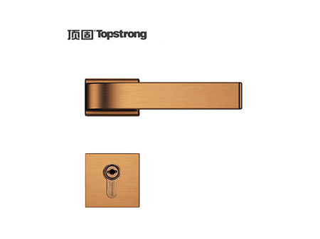 狮扑凌云分體中插芯鎖